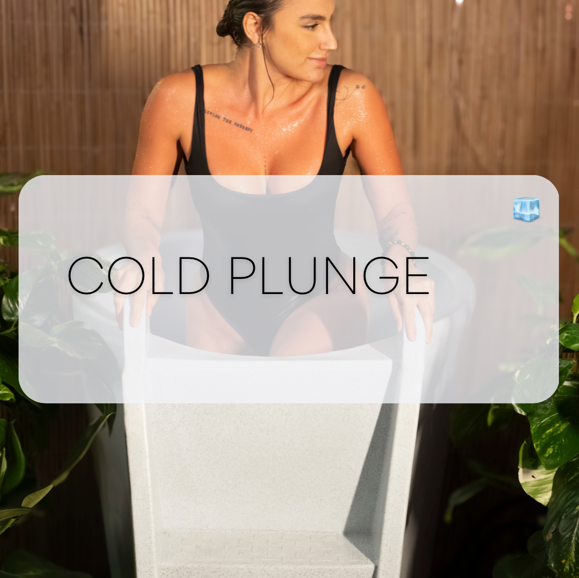 Cold Plunge Session (15min)